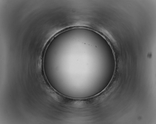 X0000102021268200807251323