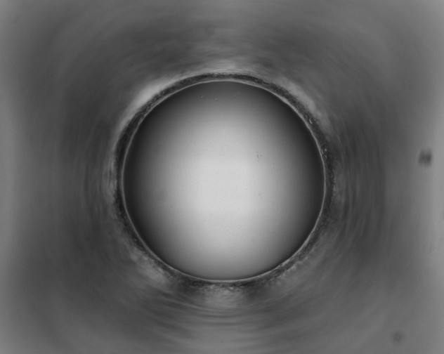 X0000102021270200807251323