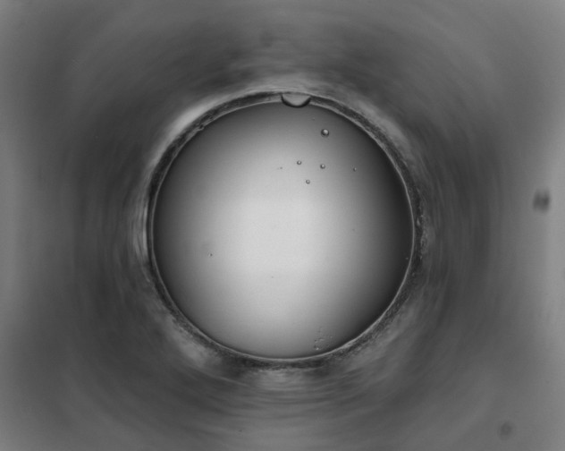 X0000102021272200807251323
