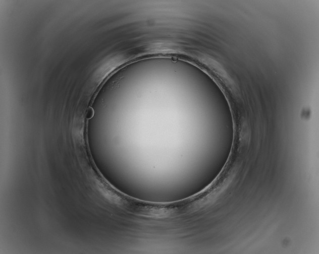 X0000102021273200807251323