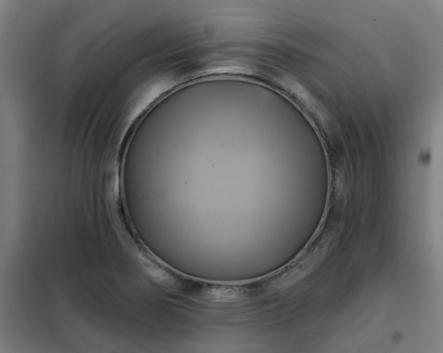 X0000102021274200807251323
