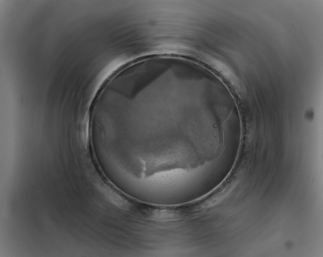 X0000102021275200807251323
