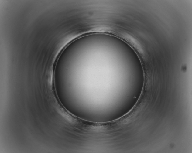 X0000102021276200807251323
