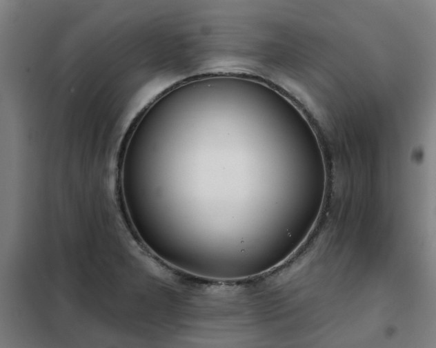 X0000102021277200807251323