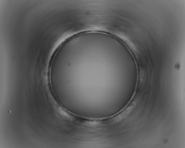 X0000102021278200807251323