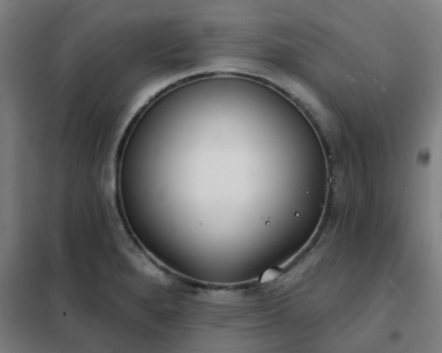 X0000102021280200807251323