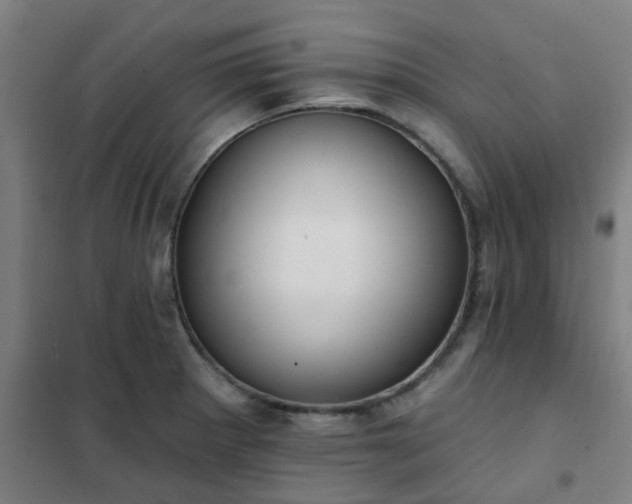 X0000102021281200807251323