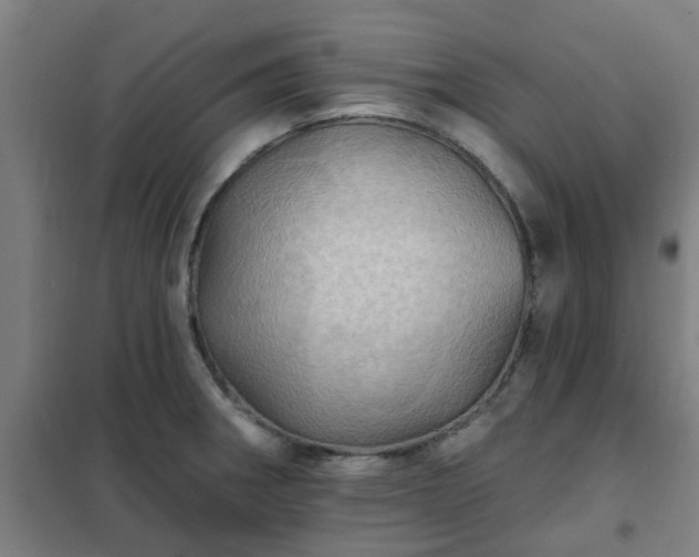 X0000102021282200807251323
