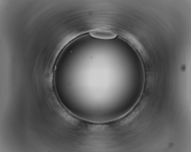 X0000102021284200807251323