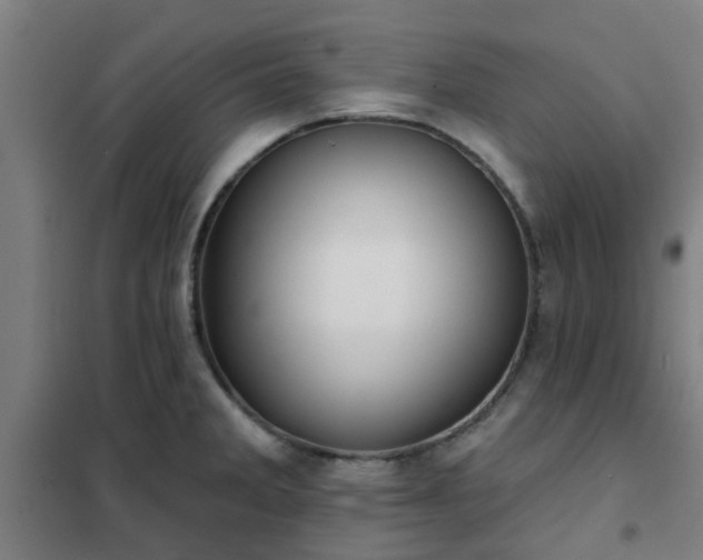 X0000102021285200807251323
