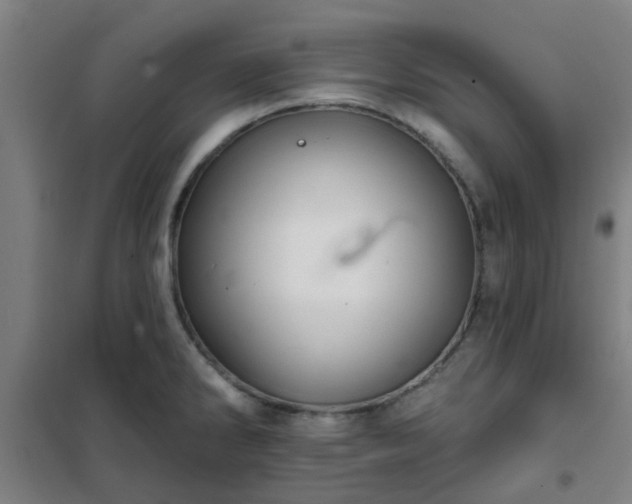 X0000102021286200807251323