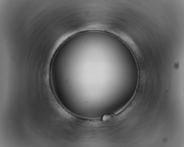 X0000102021288200807251323