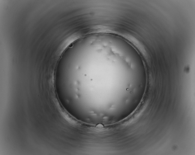 X0000102021289200807251323