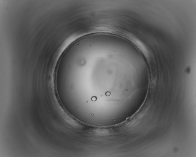 X0000102021291200807251323