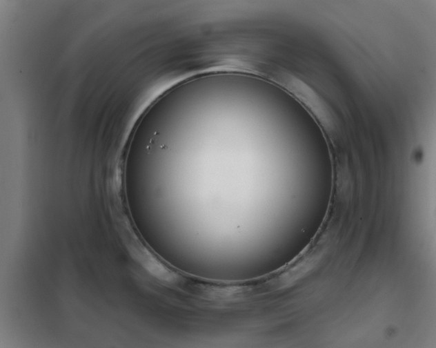X0000102021292200807251323