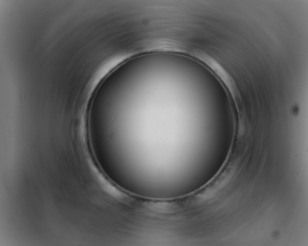 X0000102021293200807251323