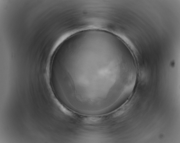 X0000102021294200807251323