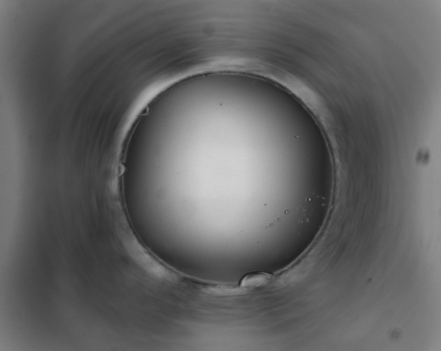X0000102021296200807251323