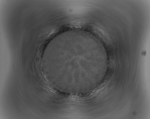 X0000102021297200807251322