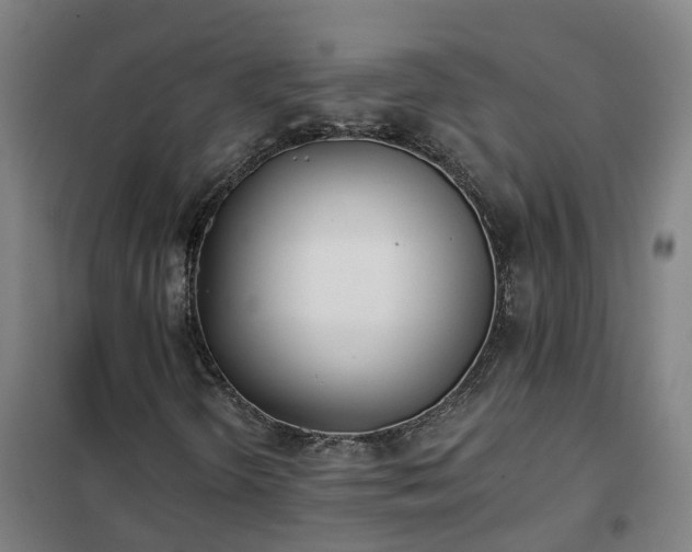 X0000102021298200807251322