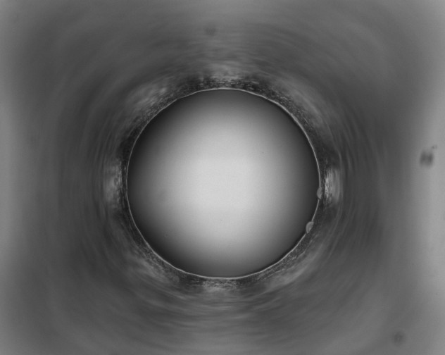 X0000102021299200807251322