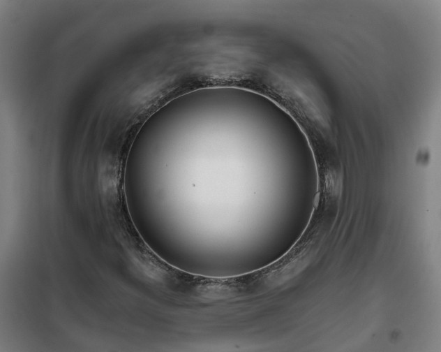X0000102021300200807251322