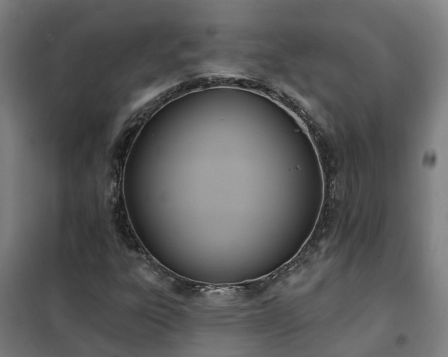 X0000102021303200807251322