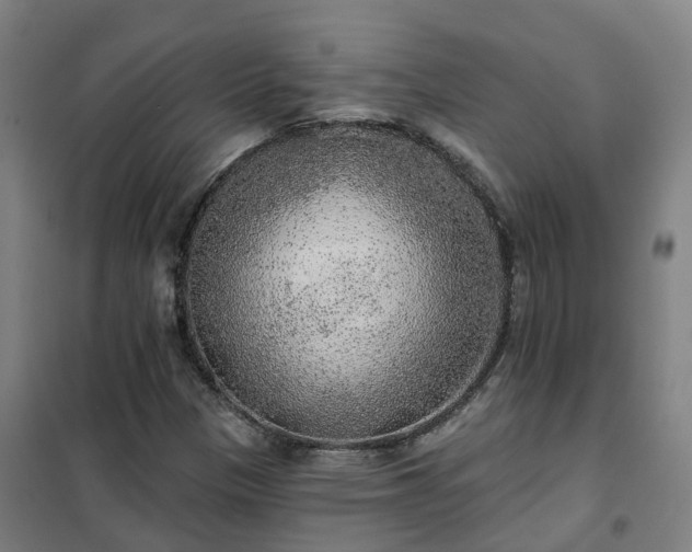 X0000102021305200807251322