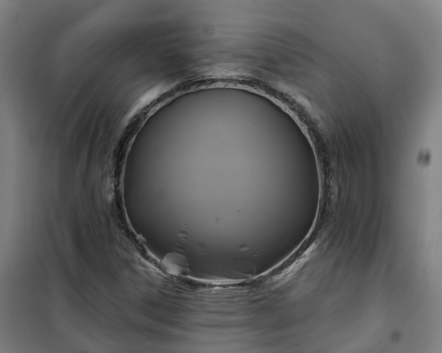 X0000102021306200807251322