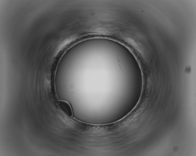 X0000102021307200807251322