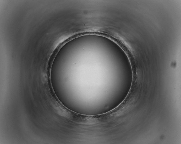 X0000102021308200807251322