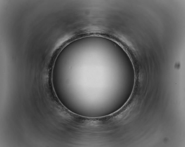 X0000102021309200807251322