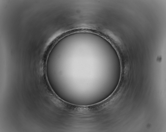 X0000102021310200807251322