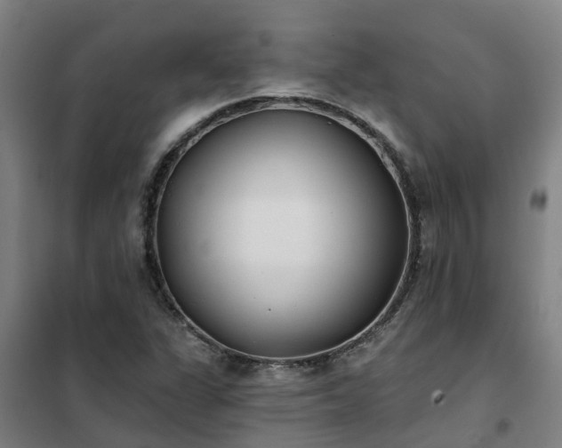 X0000102021311200807251322