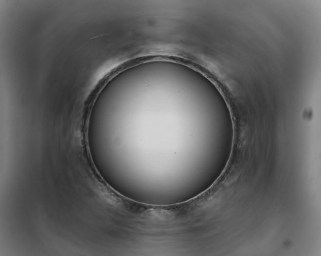 X0000102021312200807251322