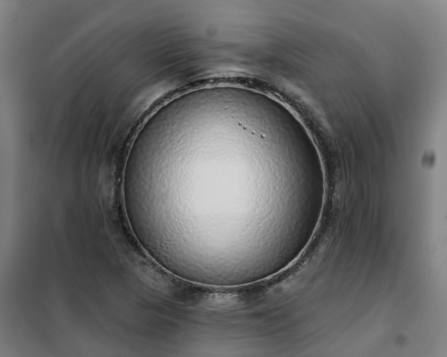 X0000102021313200807251322