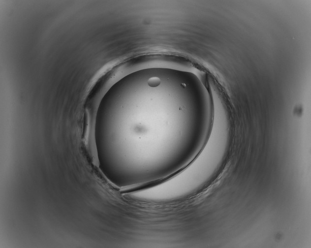 X0000102021314200807251322