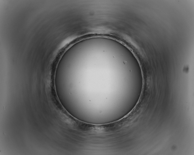 X0000102021315200807251322