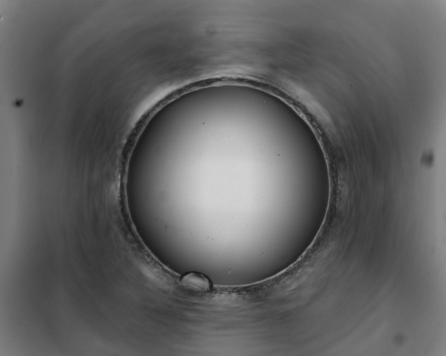 X0000102021316200807251322