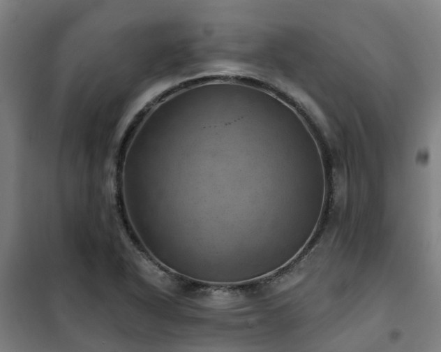 X0000102021318200807251322