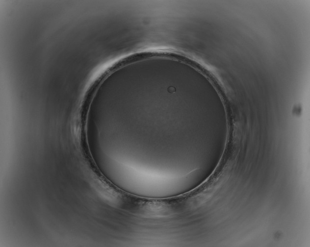 X0000102021319200807251322