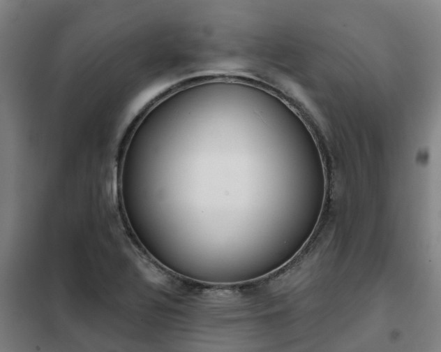X0000102021320200807251323