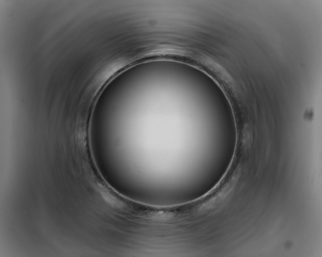 X0000102021321200807251323