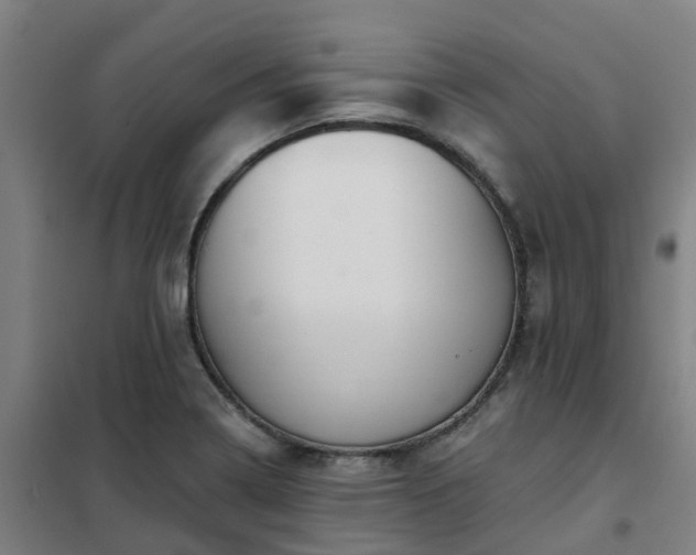 X0000102021322200807251323
