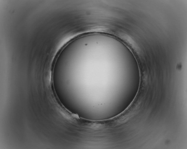 X0000102021324200807251323