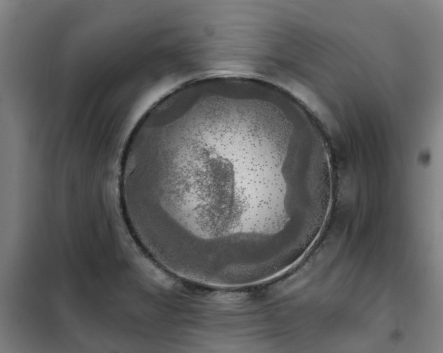 X0000102021325200807251323