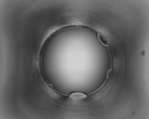 X0000102021326200807251323
