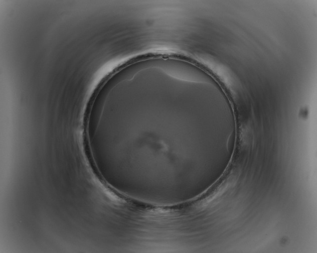 X0000102021327200807251323