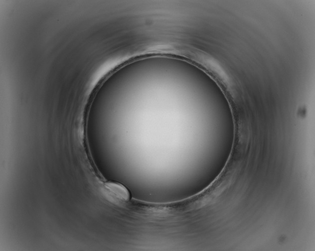 X0000102021328200807251323