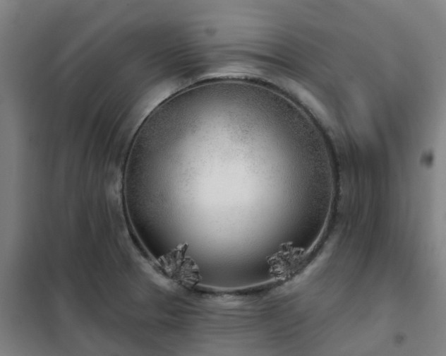 X0000102021329200807251323